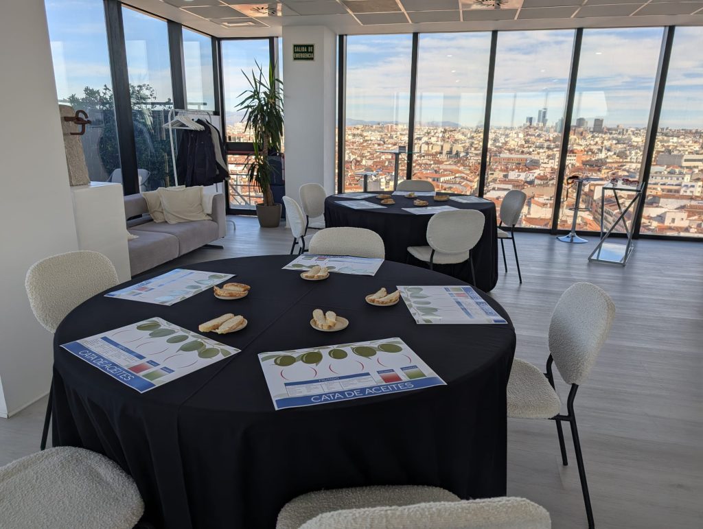 cata-aceite-team-building-madrid