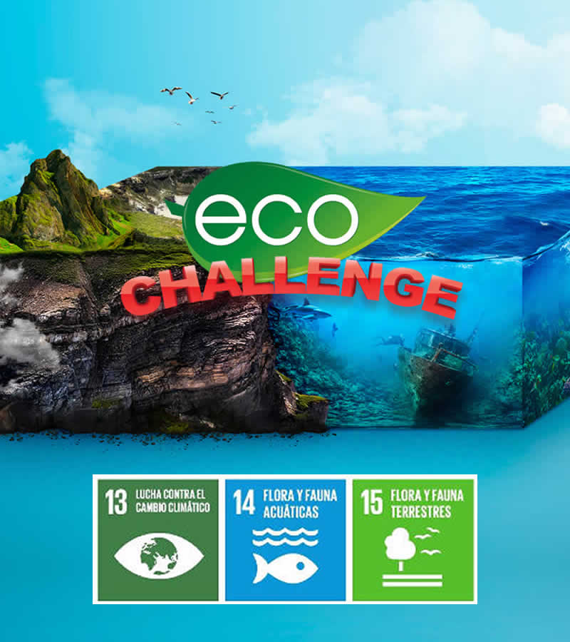Eco Challenge: gamificación medioambiental para empresas